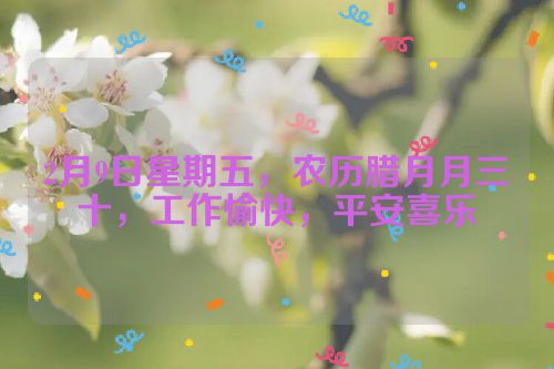 2月9日星期五，农历腊月月三十，工作愉快，平安喜乐