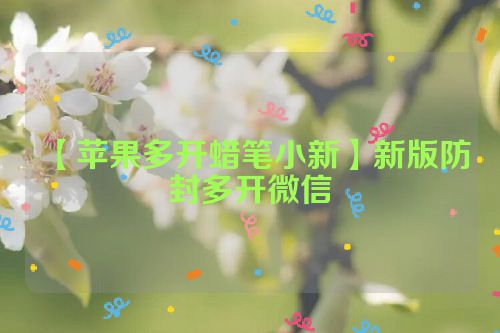 【苹果多开蜡笔小新】新版防封多开微信 第1张