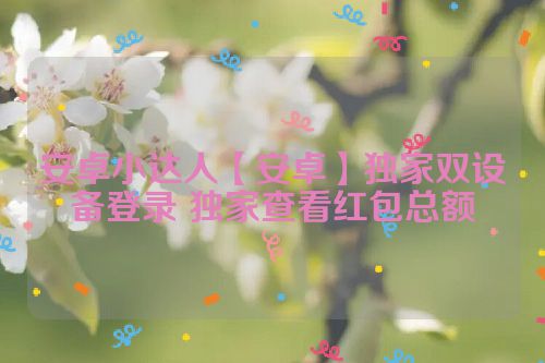 安卓小达人【安卓】独家双设备登录 独家查看红包总额
