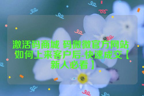 激活码商城 码微微官方网站 如何上来客户后-快速成交【新人必看】 第1张