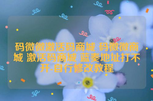 码微微激活码商城 码微微商城 激活码商城 蓝奏地址打不开-自行修改教程 第1张