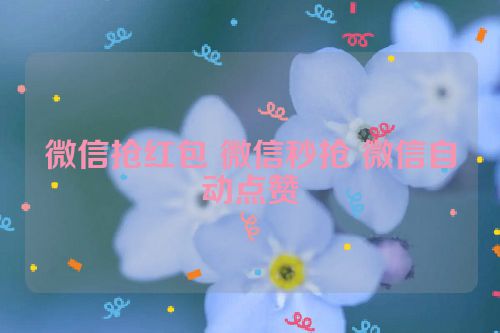 微信抢红包 微信秒抢 微信自动点赞 第1张