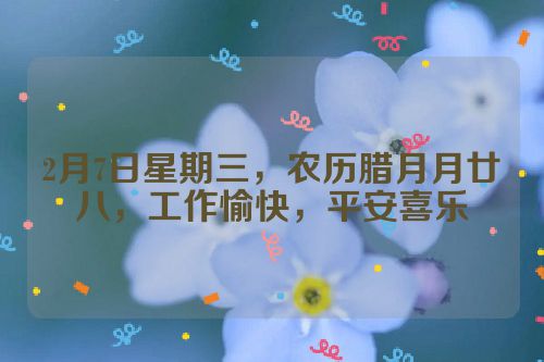 2月7日星期三，农历腊月月廿八，工作愉快，平安喜乐