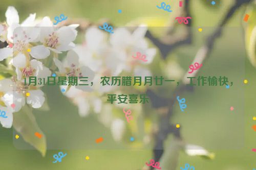 1月31日星期三，农历腊月月廿一，工作愉快，平安喜乐