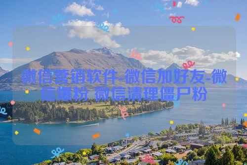 微信营销软件-微信加好友-微信爆粉 微信清理僵尸粉 第1张