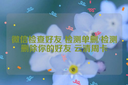 微信检查好友 检测单删/检测删除你的好友 云清周卡 第1张