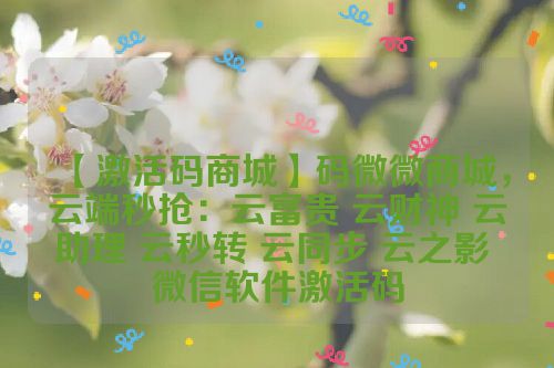 【激活码商城】码微微商城，云端秒抢：云富贵 云财神 云助理 云秒转 云同步 云之影 微信软件激活码 第1张