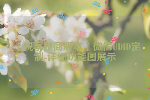 【悦享微商版本】微信UDID定制-详细功能图展示