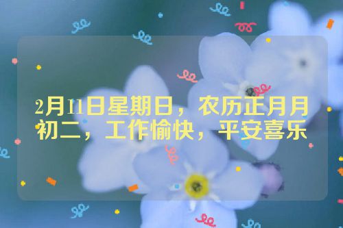 2月11日星期日，农历正月月初二，工作愉快，平安喜乐