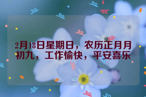2月18日星期日，农历正月月初九，工作愉快，平安喜乐