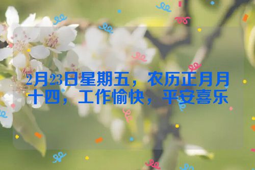2月23日星期五，农历正月月十四，工作愉快，平安喜乐